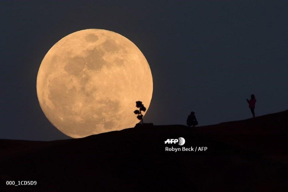 La conquista de la Luna sigue siendo un proyecto importante para los científicos. Foto: AFP
