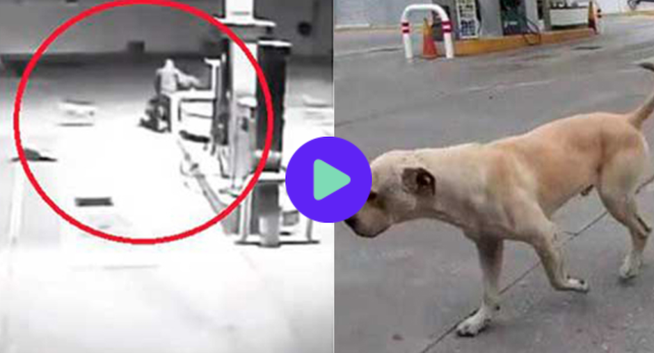 Este es Randy el 'h&eacute;roe local'. (Foto: Video)