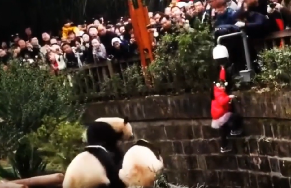 La ni&ntilde;a estaba aterrada mientras el guardia trataba de sacarla del lugar para ponerla a salvo. (Captura Video)
