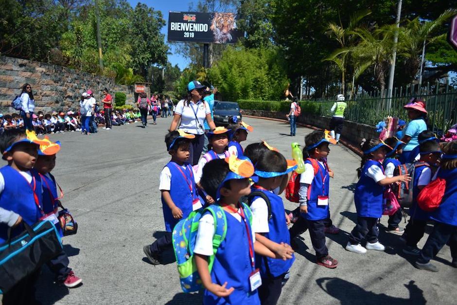 El zoológico además informó que los boletos de los visitantes serán válidos para otros días. (Foto: Jesús Alfonso/soy502)