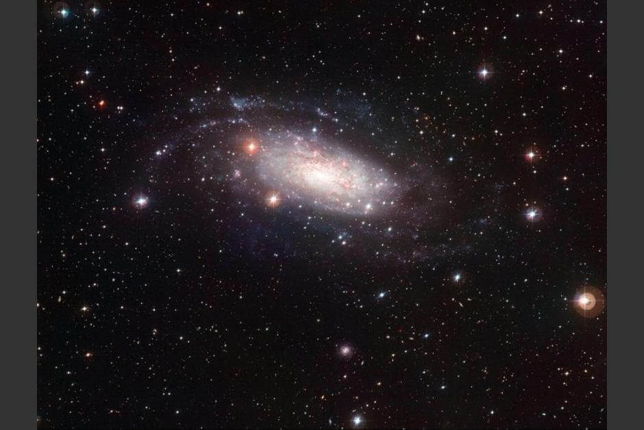 Foto: Archivo Soy502