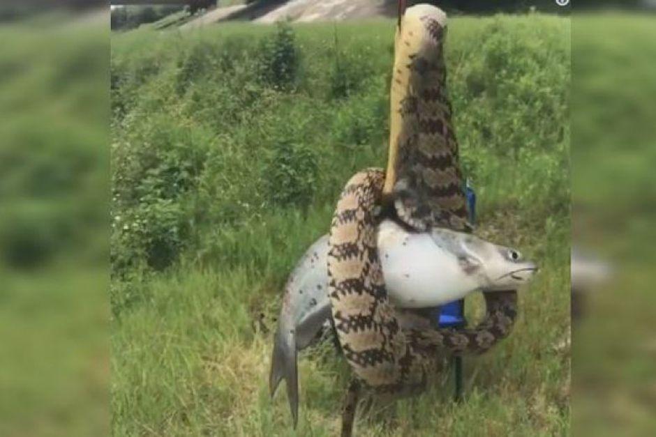 "Las cosas por las que tengo que pasar en la pesca", escribi&oacute; McCray junto al video (Foto: Captura de pantalla)