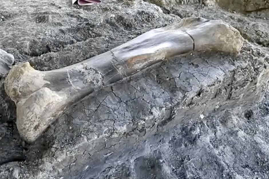 El hallazgo ocurri&oacute; al suroeste de Francia (Foto: Gizmodo)