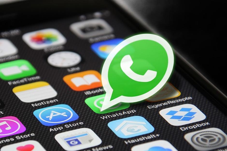 La aplicación no deja de sorprender a los usuarios (Foto: Net Tv)