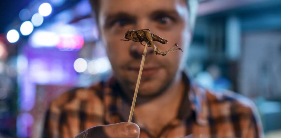 Insectos para reponer energ&iacute;as, una propuesta de estos j&oacute;venes peruanos. (Foto: El Pa&iacute;s)