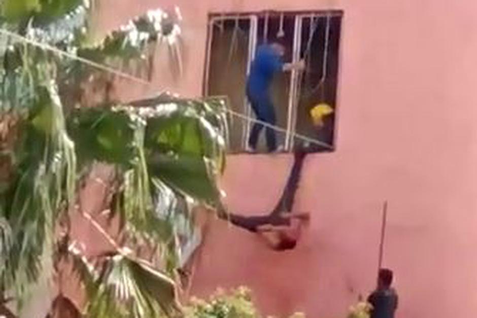 El incidente ha sido comentado en las redes sociales por el peculiar final de una persecuci&oacute;n a un ladr&oacute;n. (Captura Twitter)