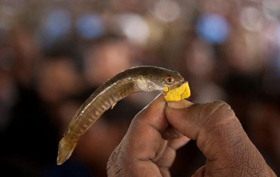 Este tratamiento fue creado hace m&aacute;s de un siglo en India. (Foto:&nbsp;La Prensa Nicaragua)