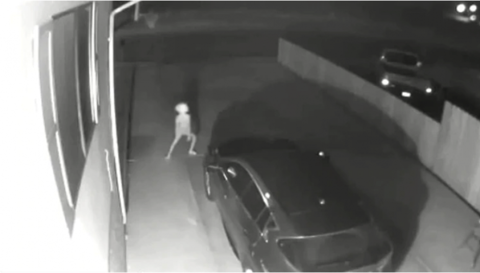 La autora del video asegura que el resto de c&aacute;maras no percat&oacute; esta imagen, solo una de todo el sistema de vigilancia. (Captura Video)