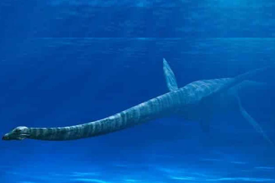 Los cient&iacute;ficos lo compararon con el "monstruo del lago Ness" (Imagen ilustrativa: dinosaurioss.com)