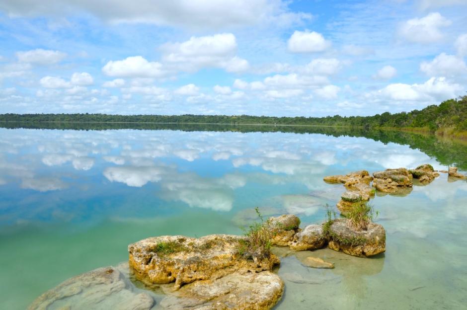 La flora y fauna, adem&aacute;s de la belleza de esta zona se ven amenazadas por invasiones que destruyen el ecosistema. (Foto: Inguat)