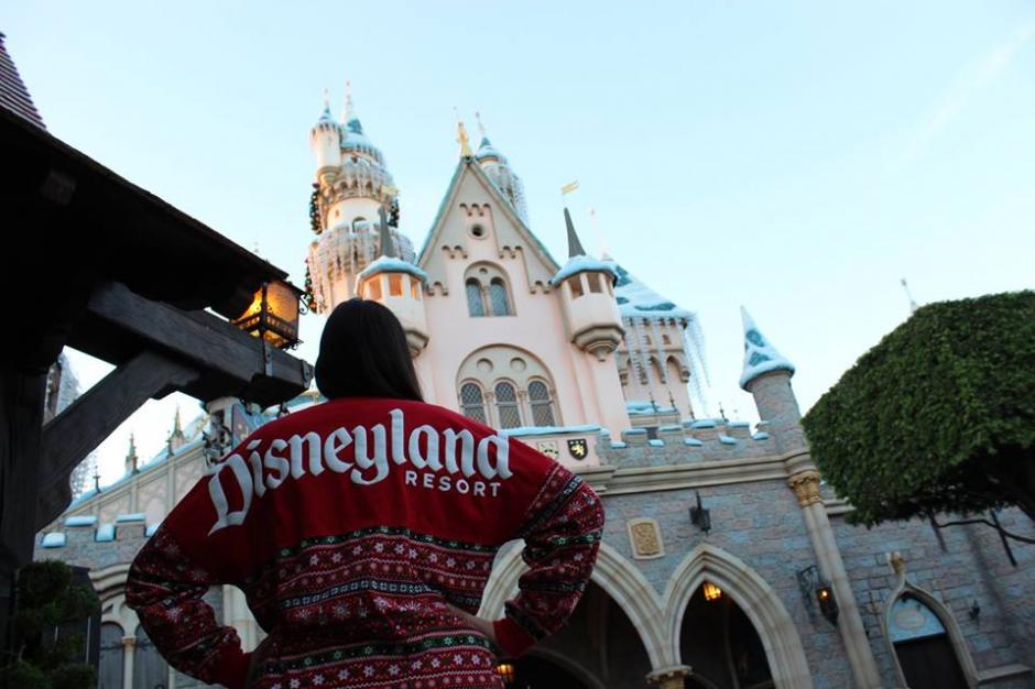 Seg&uacute;n la SAT, el seminario servir&aacute; para mejorar la atenci&oacute;n a los contribuyentes. (Foto: Disneyland)