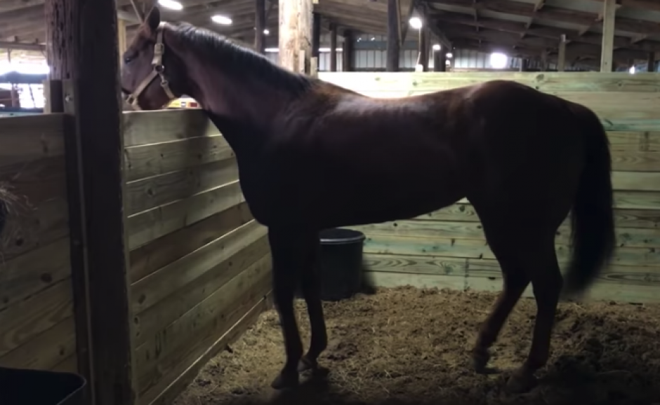 Baila solo con m&uacute;sica en espa&ntilde;ol. (Foto:YouTube)