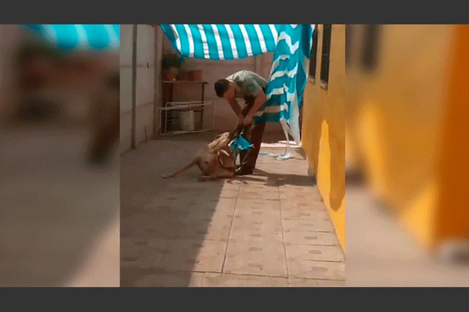 Un carabinero rescat&oacute; a un perro que estaba enredado en una red y este le dio un abrazo de 'agradecimiento'. (Foto: Facebook)