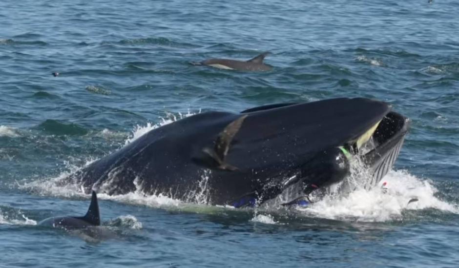 El hombre se salv&oacute; de milagro y todo qued&oacute; captado en video. (Foto: captura pantalla)&nbsp;