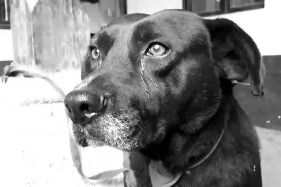 El hombre fue detenido con varias bolsas con la carne. (Foto: Archivo/Ilustrativa)&nbsp;