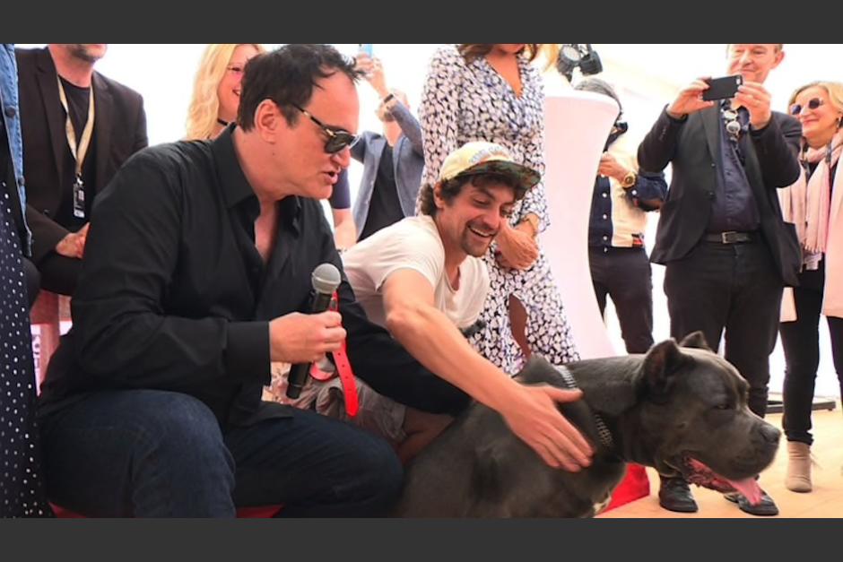 El premio "Palm Dog" se entrega anualmente a los astros caninos &mdash;y directores humanos&mdash; de las cintas del festival m&aacute;s centradas en estos animales. (Foto: Infobae)