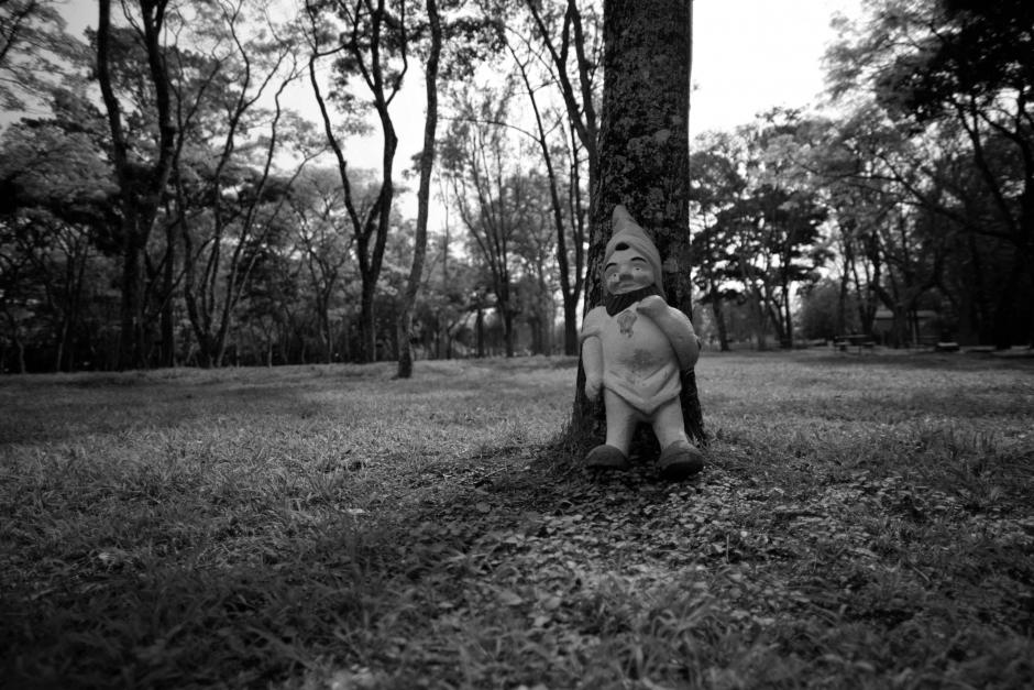 Algunos están visiblemente dañados, otros en mejor estado. (Foto: Wilder López/Soy 502)