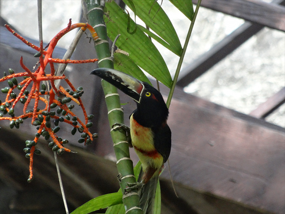 Las fotograf&iacute;as de los ni&ntilde;os sorprenden por su precisi&oacute;n. (Foto: Nature by Overgenius)