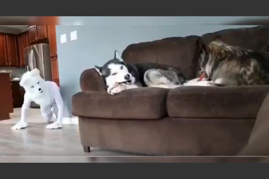 Pasa y r&iacute;ete un momento. (Foto captura)