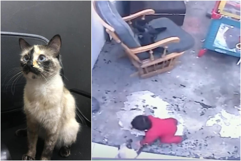 Le salv&oacute; la vida al peque&ntilde;o beb&eacute;. (Fotomontaje de im&aacute;genes Facebook)