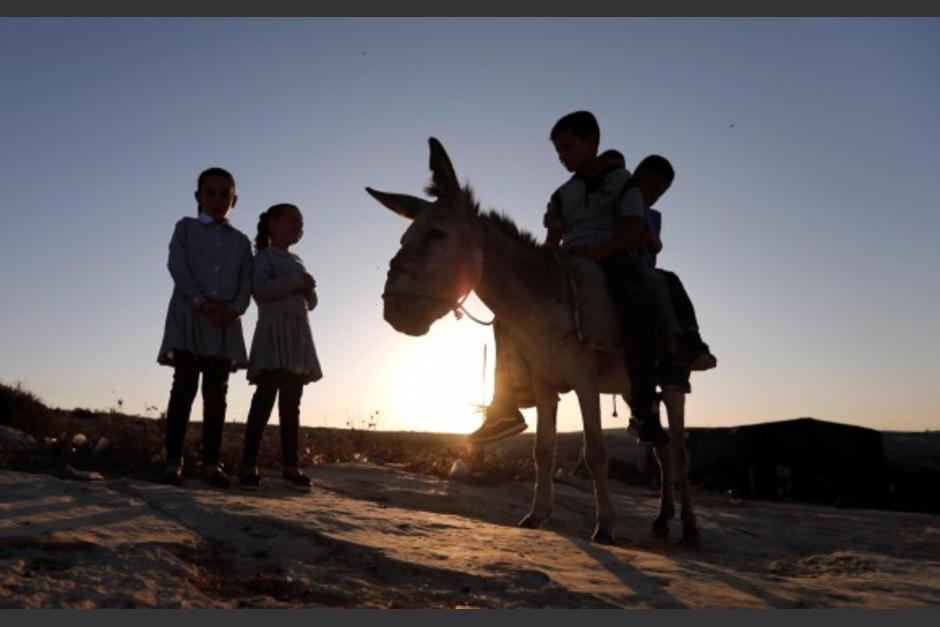 Un niño va a su escuela que está muy lejos de su casa trepado en su burro. (Foto: El Colombiano)