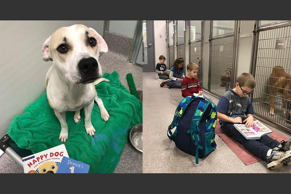 Ha tenido resultados exitosos tanto en la lectura y paz de los ni&ntilde;os, como en el comportamiento de los perritos. (Fotos&nbsp;ICACS)