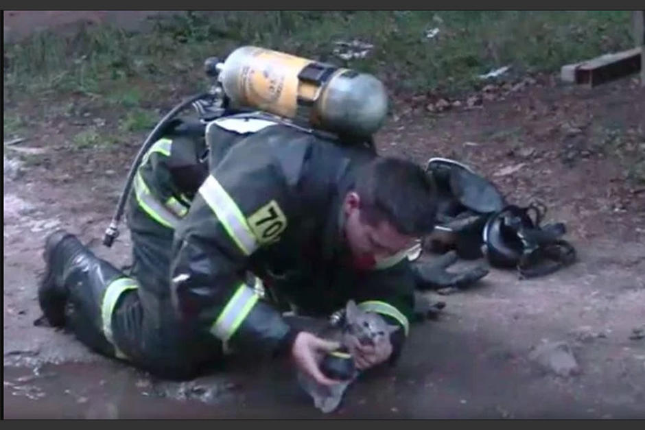 Un bombero intenta reanimar a un gatito intoxicado por un incendio. (Foto: Captura)