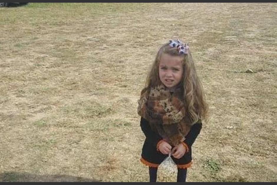 Los internautas han alucinado con la fotograf&iacute;a que te har&aacute; abrir m&aacute;s los ojos. (Foto: Viral Dump)