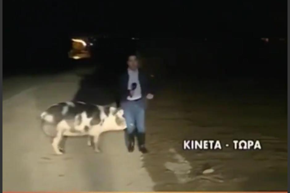 El suceso fue compartido en redes sociales y ha generado diversas reacciones de los internautas. (Captura Video)