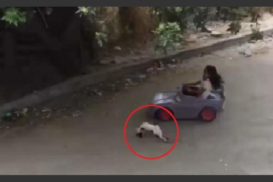 Pasa un momento y desestr&eacute;sate riendo con la nena y el gatito sin suerte. (Foto Captura Facebook)