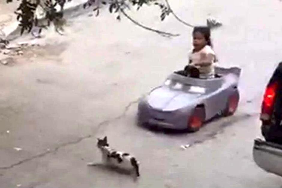 Una ni&ntilde;a atropell&oacute; a un gato con su veh&iacute;culo de juguete y se hizo viral. (Foto: Captura)