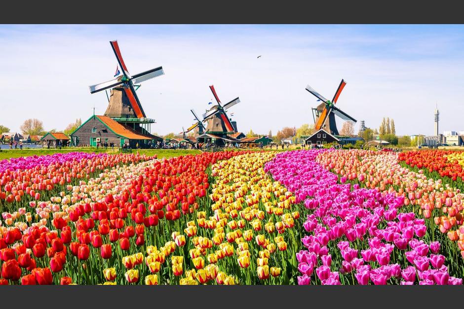 Pa&iacute;ses Bajos pretende posicionarse como una marca pa&iacute;s para cambiar la perspectiva de su nombre oficial. (Foto: LV12)