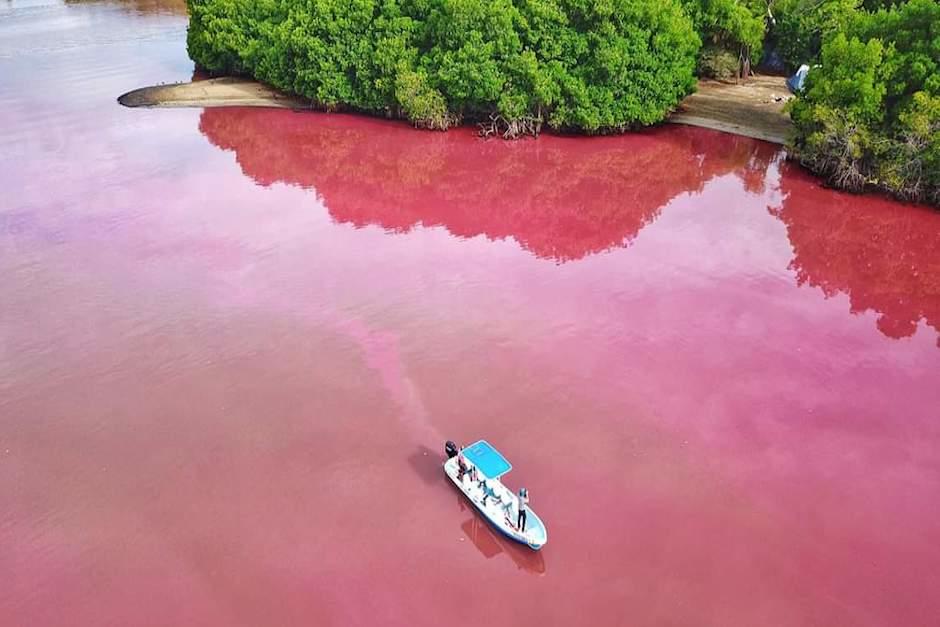 La Laguna Manialtepec est&aacute; ubicada a 17 kil&oacute;metros de Puerto Escondido, Oaxaca (Foto: Twitter)