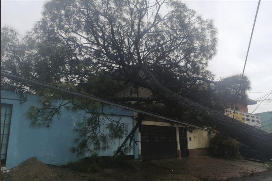 Foto: Mynor Espinoza, Twitter