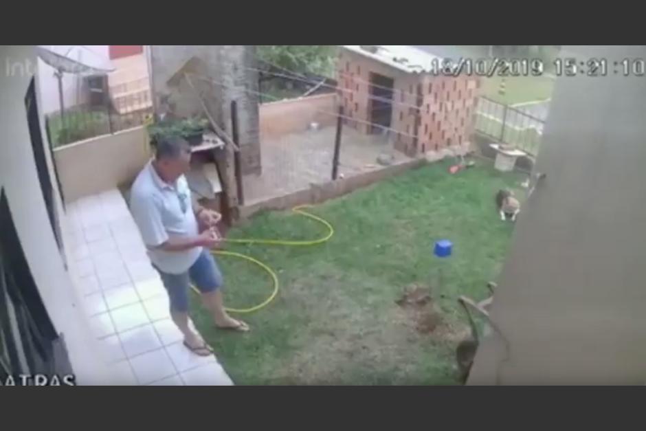 Un hombre quiso eliminar de manera 'creativa' y r&aacute;pida a las hormigas, pero no se esperaba el resultado. (Foto: captura de pantalla).