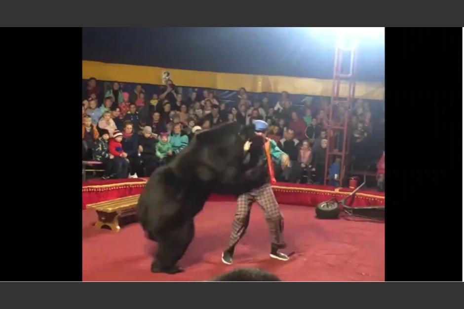 Un oso atacó a su domador en pleno espectáculo familiar. (Foto: captura video) 