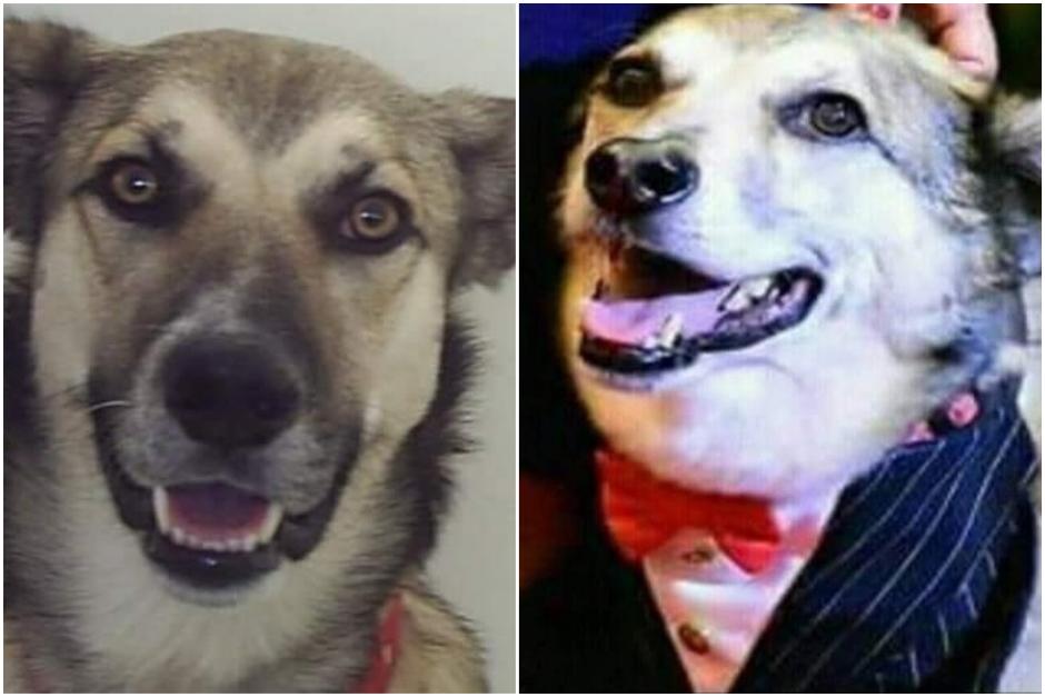 Mira al final de la nota d&oacute;nde lo velar&aacute;n por si deseas acompa&ntilde;arlo. (Fotomontaje Erivan Campos)