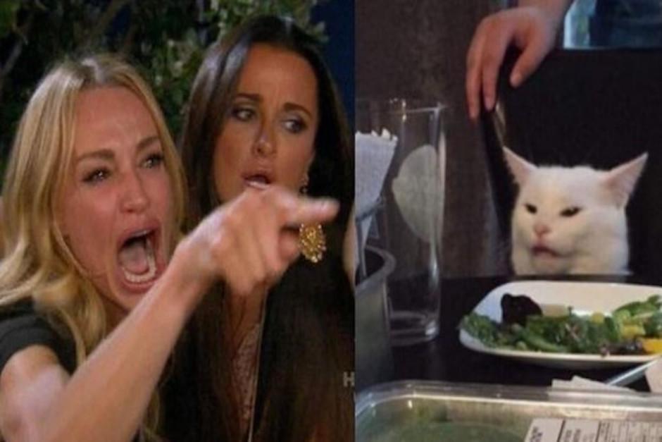 Una maestra en Argentina emplea el famoso meme viral del gato en su clase y causa sensaci&oacute;n en las redes. (Foto: Captura de video)