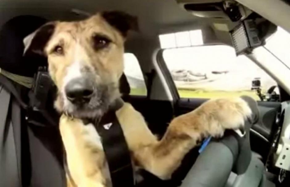 No creerás cómo dejó el auto luego de ir a chocarlo (Foto Ilustrativa)