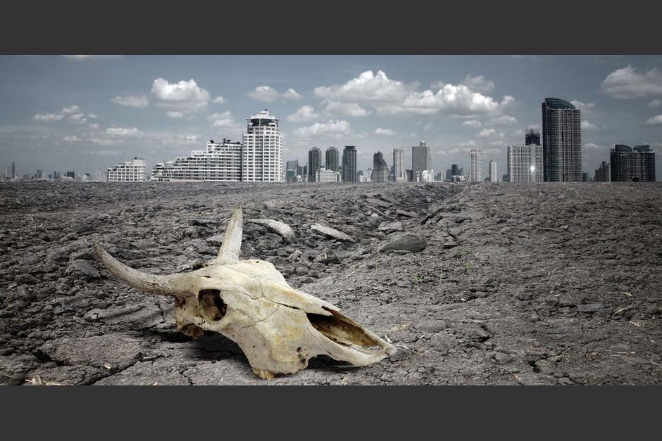 De acuerdo a la ciencia ya comenz&oacute; la sexta extincii&oacute;n masiva. (Foto expokanews)