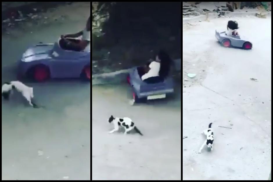 El video se viraliza en redes sociales. (Fotos: captura de pantalla)&nbsp;