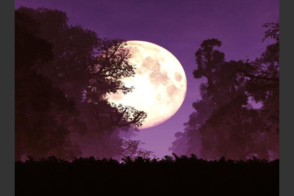 Atento al cielo, la pr&oacute;xima semana podr&aacute;s ver un verdadero espect&aacute;culo. (Foto Shutterstock)
