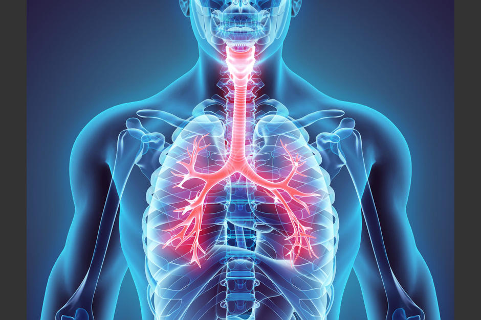 En otros casos, el coronavirus ha afectado el coraz&oacute;n, el ri&ntilde;&oacute;n, el h&iacute;gado e incluso el recto.&nbsp;(Foto: UNIDA).