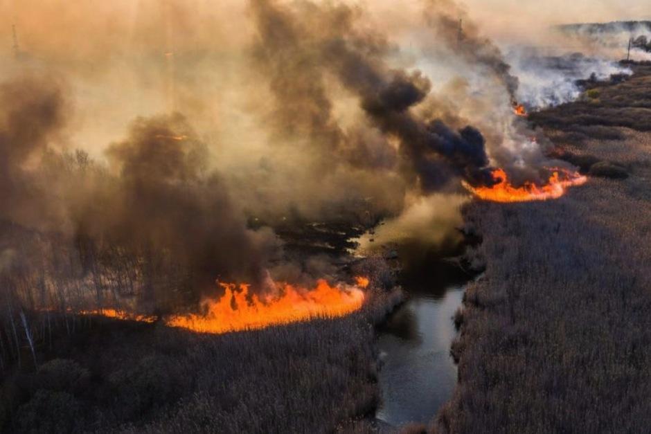 Un incendio acaba con el bosque de la zona de exclusi&oacute;n de Chern&oacute;bil. (Foto: AFP)&nbsp;