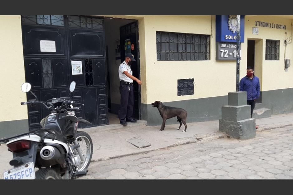 "Charly" visita la estación de policía a espera de la salida de su amo. (Foto: Stereo100)&nbsp;