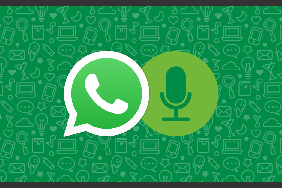 Es importante que mantengas activa la opci&oacute;n de almacenar los chats de WhatsApp y tambi&eacute;n de liberar espacio en tu tel&eacute;fono cada cierto tiempo (Foto: Bloygo).