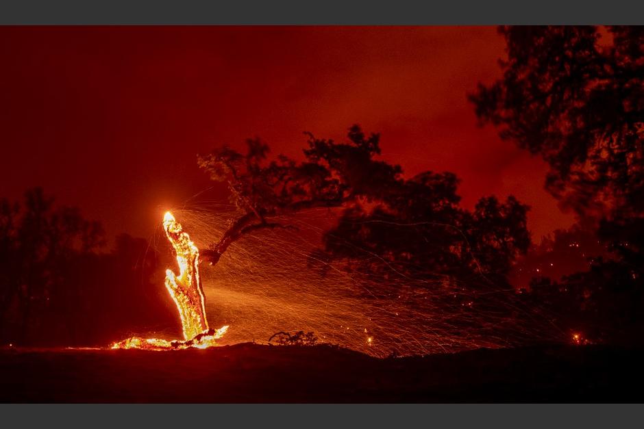 El Estado de California se encuentra en emergencia. (Foto: AFP) 