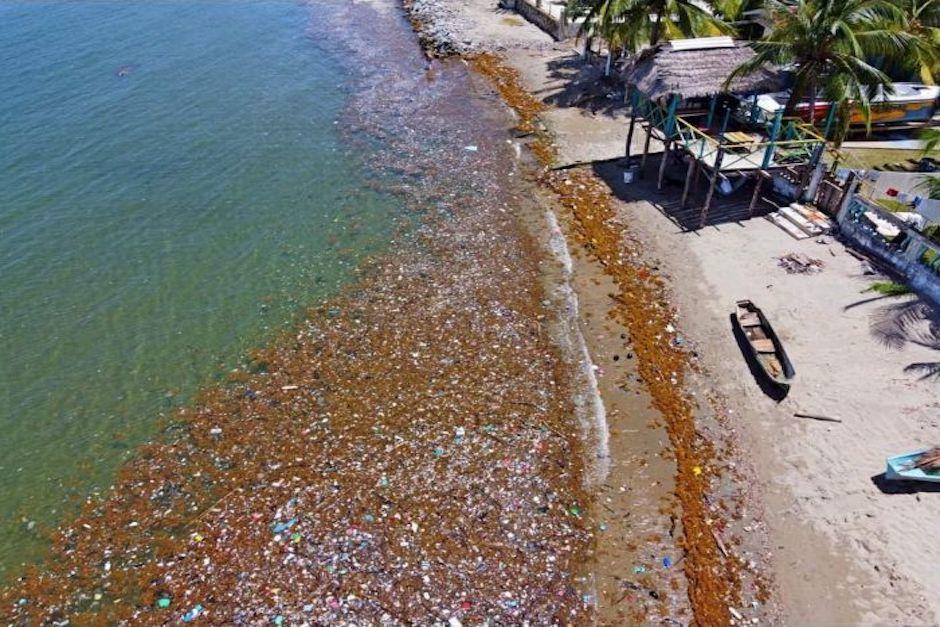 La basura ocasiona la formación de una especie de isla de plástico cerca de Roatán (Foto: Proceso HN)