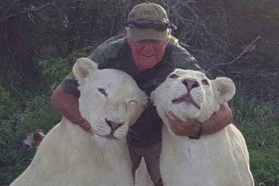 El conservacionista sol&iacute;a llevar de paseo a sus leonas. (Foto: Uncle West)