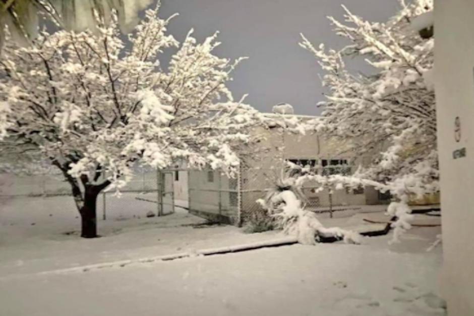 La comunidad de Sueco, en Chihuahua luce como una postal navide&ntilde;a, cubierta bajo la nieve. (Foto:&nbsp;@ClimaChihuahua1, Mirna Cepeda)
